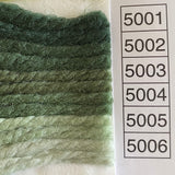Waverly Wool Needlepoint Yarn color shade sample for #5001 to 5006