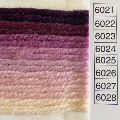 Waverly Wool Needlepoint Yarn color shade sample for #6021 to 6028