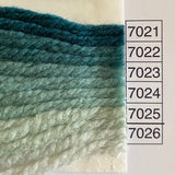 Waverly Wool Needlepoint Yarn color shade sample for #7021 to 7026