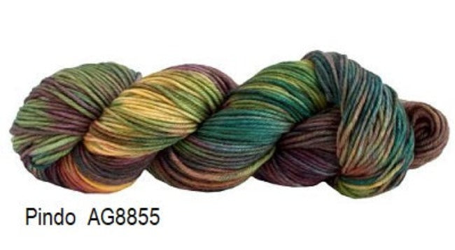 Manos Del Uruguay Alegria Grande Hand Painted Yarn. Color Pindo AG8855.