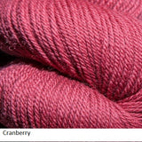 Green Line Yarn from Jagger Spun. Color  Cranberry
