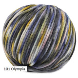 Juniper Moon Farm's Fourteen  Paints Yarn in color #101 Olympia