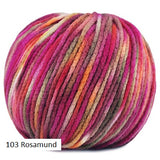 Juniper Moon Farm's Fourteen  Paints Yarn in color #103 Rosamund