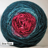 Transitions Yarn from Stone Barn Fibers. Gradient colorway Briar Rose