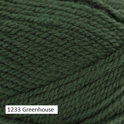 Plymouth Yarn Encore Chunky. Color  #1233