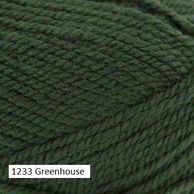 Plymouth Encore Chunky Green Heather 1446
