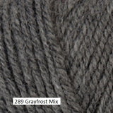 Plymouth Yarn Encore Chunky. Color  #289