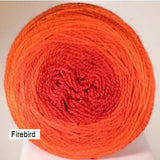 Transitions Yarn from Stone Barn Fibers. Gradient colorway Firebird