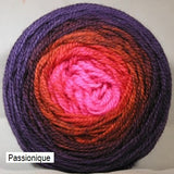 Transitions Yarn from Stone Barn Fibers. Gradient colorway Passionique