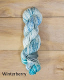Twizzlefoot Yarn from Mountain Colors.  Color Winterberry