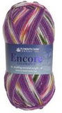 Plymouth Yarn Encore Worsted Colorspun. A plied blend of Acrylic and Wool Yarn.