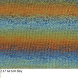 Painted Sky yarn from Knitting Fever. Color #237 Green Bay