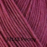 Berroco Ultra Wool, a superwash worsted weight yarn.  Color 33148